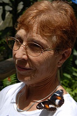 0675 Butterfly Sanctuary Kuranda